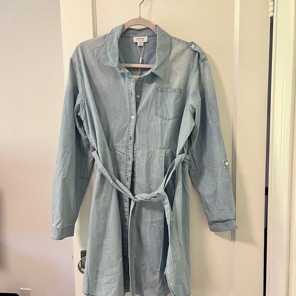 Seraphine Maternity Light Blue Denim Shirt Dress